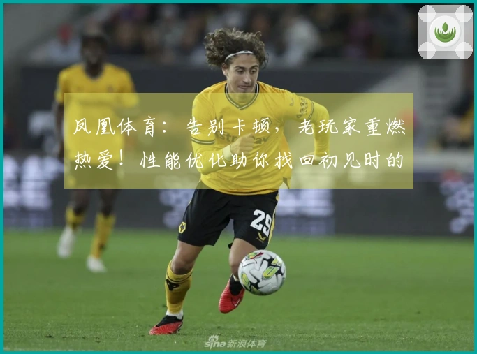 凤凰体育：告别卡顿，老玩家重燃热爱！性能优化助你找回初见时的丝滑操作