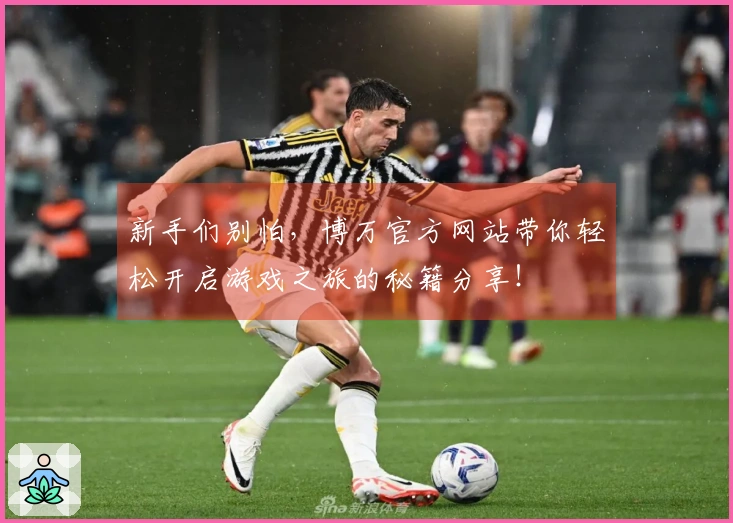 新手们别怕，博万官方网站带你轻松开启游戏之旅的秘籍分享！